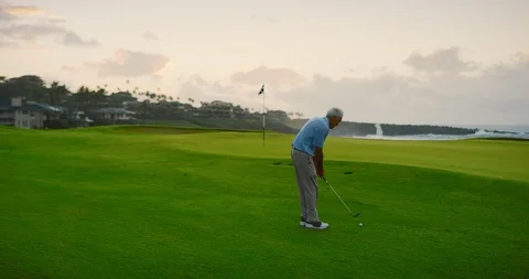 A quick chip onto the green Stock Footage 102465052