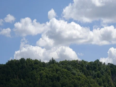 Quick clouds over the forest Stock Footage 77712893