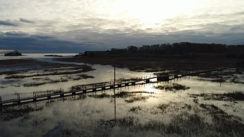 Quick drone pan over marsh Video stock 95870444