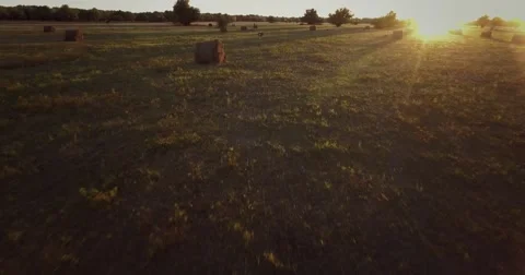 Quick flight over a field at sunset in autumn with Stock Footage 68093334