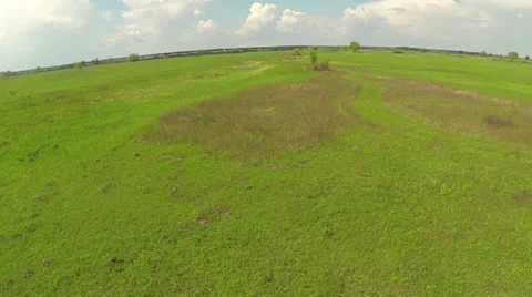 Quick flight over a green glade. Aerial. Stock Footage 37396114