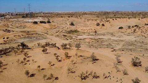 Quick flight over the trees in desert at winter 스톡 동영상 125331197