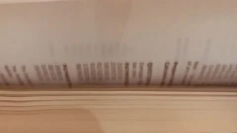 Quick flipping book pages Stock Footage 162656650