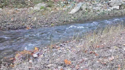 Quick Flowing Rivulet of Water Stock Footage 43317493