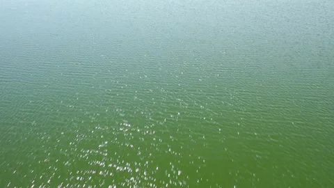Quick glide on the smooth and shiny surface of green water into the sea Stock Footage 160125242
