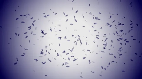 Quick growth of microbes or germs under the microscope Stock Footage 67531301