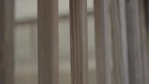 Quick Handheld Push Past Deck Slats Stock-Footage 106681587