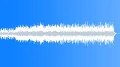 Quick Hitting Orchestral IntroStock Music