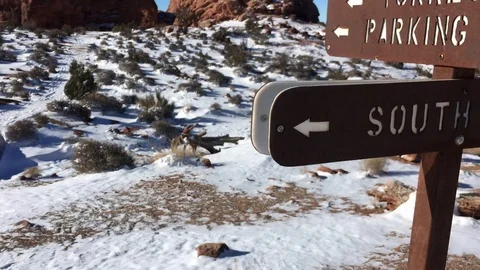 Quick Look At South Window Sign During Hiking IMG 0120 Stock Footage 80541863