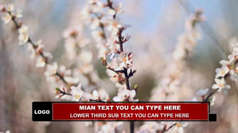 Quick Lower Third Type 2  After Effects	Stock