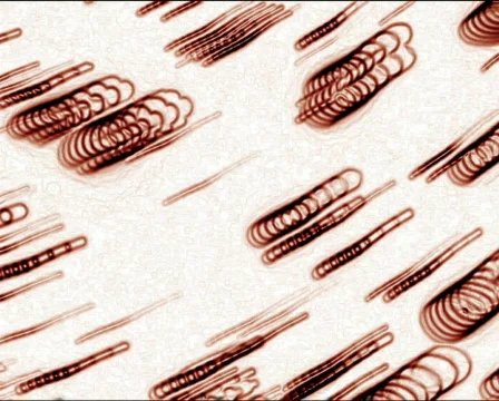 Quick Micro View 2 動画素材 103862