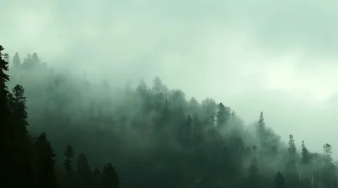 Quick Mist Shrouding the Mountainside Video stock 49194199