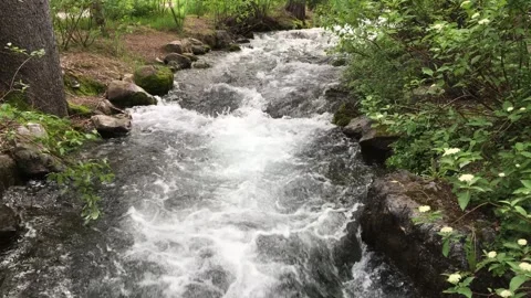 Quick moving river in the Mountains, Utah Stock Footage 308424293