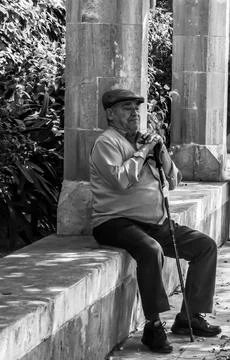 Quick Nap in the Shade Fotos Stock