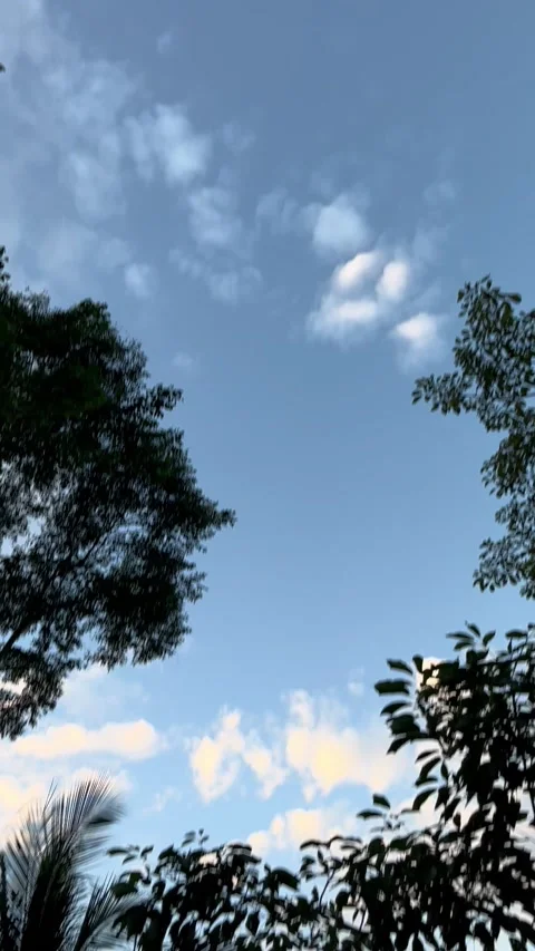 Quick pan from sky Video stock 170461443