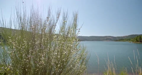 Quick passage through the river 스톡 동영상 143263627