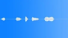 Quick scratchy bleep sequence Sound Effect