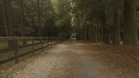 A quick stable pull back shot down a private leaf covered farm road, with Stock Footage 123039523