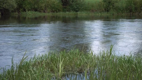 Quick stream on the calm river. Two riversides with grass. 4K Video stock 124741991