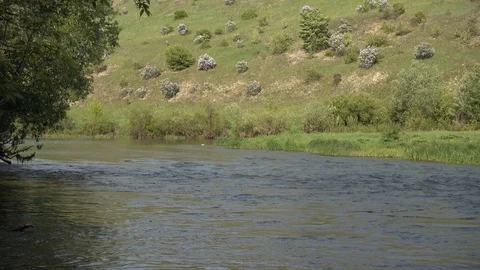 Quick stream on a river at shallow place. River Don headwaters, Russia Stock Footage 124715414