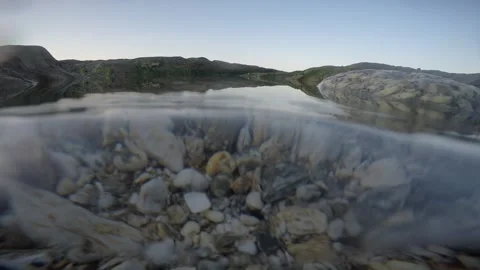 Quick swim through a rock pool Video stock 244384992
