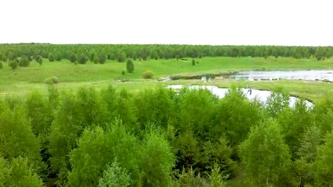 A quick takeoff Stock Footage 133313891