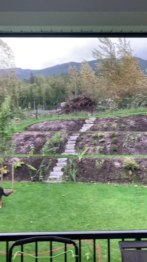 Quick Thinking Dog Dodges Runaway Trampoline in Storm, Canada - 13 Oct 2020 Video stock 205317305