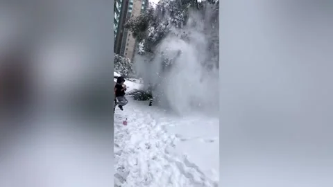 Quick-thinking father carries son away as tree branches snap under weight of Stock Footage 272989903
