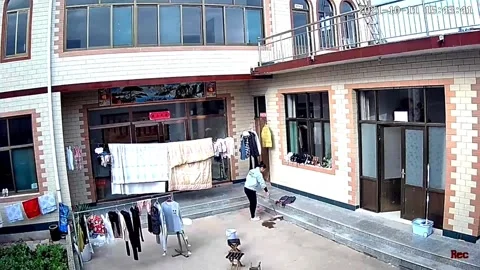 Quick-thinking mother uses broom to catch son falling down stairs in baby walker Stock Footage 272985745