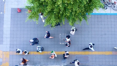 Quick time lapse of people viewed from above on busy street under tree Stock Footage 123682886