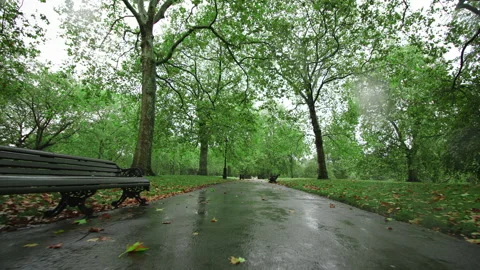 A quick walk on a pathway in Green Park, London with benches on the sides in 4K. Stock Footage 139943198