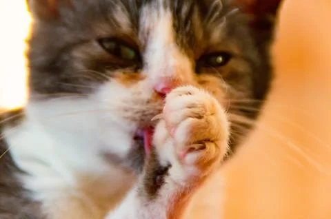 A quick wash Stock Photos