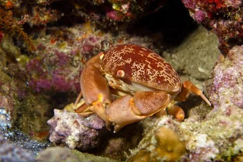 Quick way Stock Photos