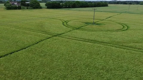 Quick zoom  Stock Footage 278242902