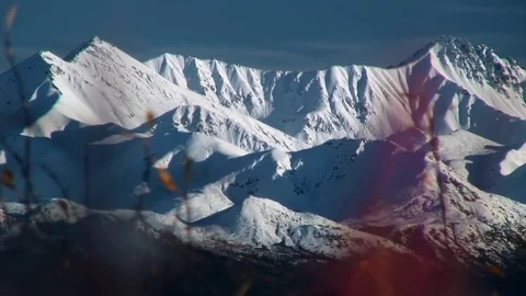 Quick Zoom From Mountain Range To Interesting Red Plants Stock Footage 92401434
