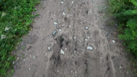 Quickly flying a drone over a dirt hiking tail 4k footage Video stock 314810063