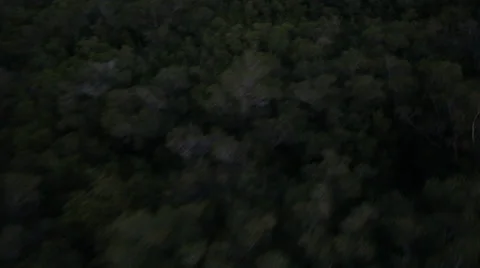 Quickly Flying Over Darkened Everglades Stock Footage 26737812