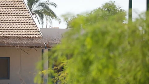 Quickly movement of focus from the tile roof to tree Stock Footage 96598073