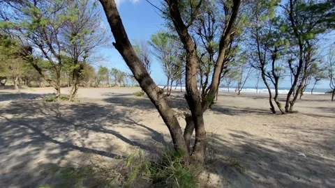 Quiet Afternoon at the beach Stock Footage 144095579