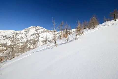 Quiet alpine scene in winter Stock Photos