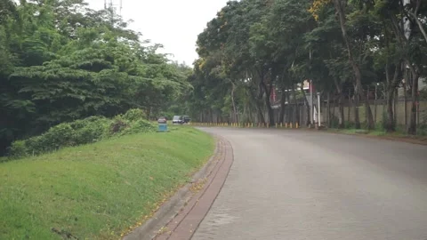 Quiet and winding streets with lush trees Stock Footage 194769930