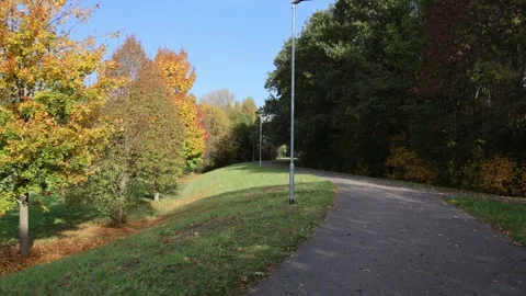Quiet asphalt path curves through green and yellow autumn trees under clear blue Stock Footage 319841806