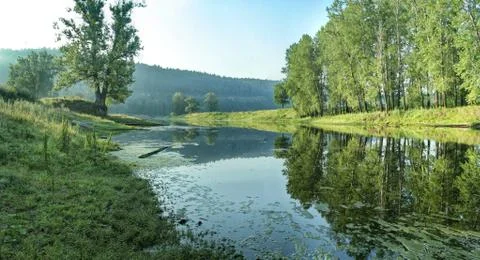 Quiet backwater of river on the background of forest slope. Stock-Fotos