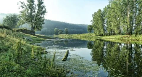 Quiet backwater of river on the background of forest slope. Foto stock