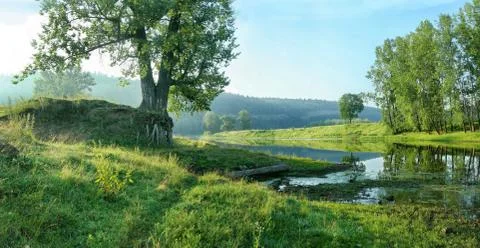 Quiet backwater of river on the background of forest slope. Stock Photos