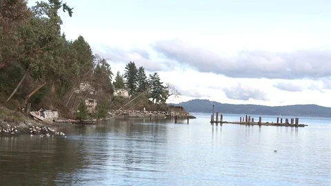 Quiet bay with dock Stock Footage 75238730