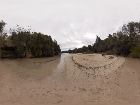 Quiet Beach with birds 360 Virtual Reality Standing Height Stock Footage 80359325