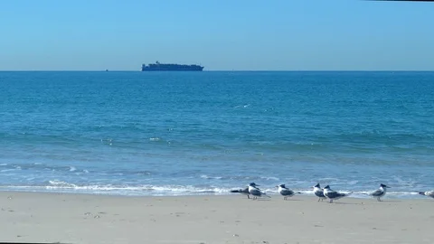 Quiet Beach With Ship On Horizon Stock Footage 79089524