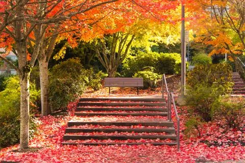 Quiet Bench Stock Photos