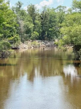 Quiet Bend of Bluff Creek 库存照片